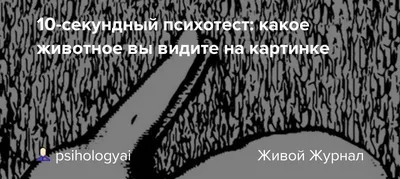 Узнайте больше о себе – пройдите психологический тест - Развлечения