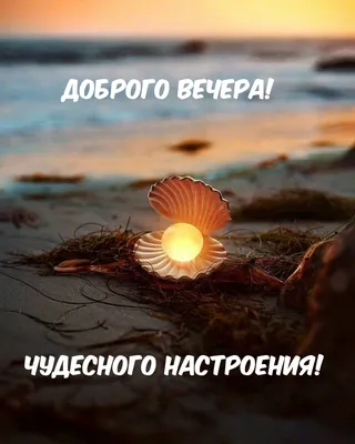 Чудесного вечера!.