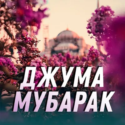 чума муборак