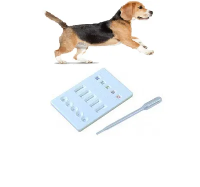 Заказать Комбинированный экспресс-тест чума собак + парвовирус собак (CDV +  CPV Ag), VIDP-525