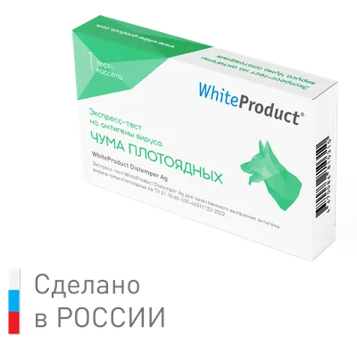 Простуда у собак, как избежать простудных заболеваний, профилактика