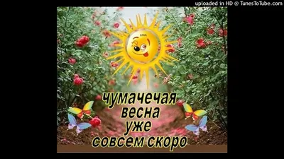 Чумачечая весна - YouTube