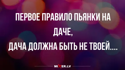 Садомазохизм: истории из жизни, советы, новости, юмор и картинки — Лучшее |  Пикабу