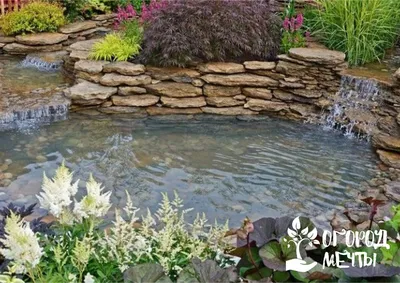 Садовый пруд AL-KO: как украсить декоративный водоем | Садова техніка AL-KO