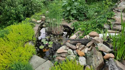 Садовый пруд в Минске | Купить искусственный садовый пруд, цена