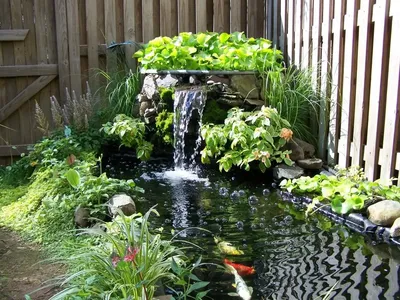Декоративный садовый пруд прочный 270 л. (145х110х50 см, 4,5 кг) арт. 270  GLQ зеленый - Пластиковые пруды декоративные. Формы, емкости для  искусственного садового пруда. Купить искусственный водоем из пластика