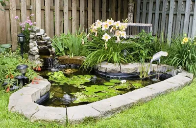 Купить Декоративный пластиковый садовый пруд 700 л зеленый за 10 700 р. в  интернет магазине Огород-без-хлопот.рф