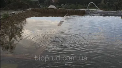 человек убирает садовый пруд с водоемов и падающие листья Стоковое Фото -  изображение насчитывающей соберите, мужчина: 242053866