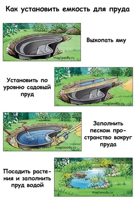 Как построить красивый садовый пруд