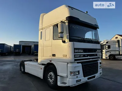 DAF XF 95 95 xf | Container truck - TrucksNL