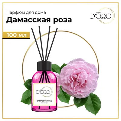 Зональная пеларгония \"ЮГ- Дамасская Роза \" — купить в Красноярске.  Горшечные растения и комнатные цветы на интернет-аукционе Au.ru