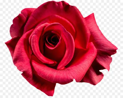 MUKUNGHWA] Мыло туалетное успокаивающее и увлажняющее ДАМАССКАЯ РОЗА Rose  Beauty Soap, 100 г купить оптом на ICONMARKET