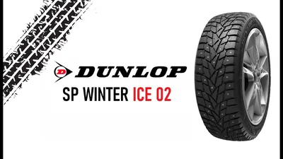 Dunlop Winter Ice 02, 205/55R16, 94T XL. Полный обзор. — Honda Civic 4D  (8G), 1,3 л, 2009 года | шины | DRIVE2