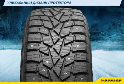 Dunlop SP Winter Ice 02 205 55 16 БУ Шины Зимние — купить в  интернет-магазине по низкой цене на Яндекс Маркете