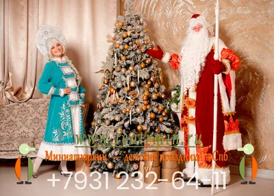 Дед Мороз на дом в Спб заказать, цена 2022-2023, вызвать хорошего Деда  Мороза и Снегурочку ребёнку домой