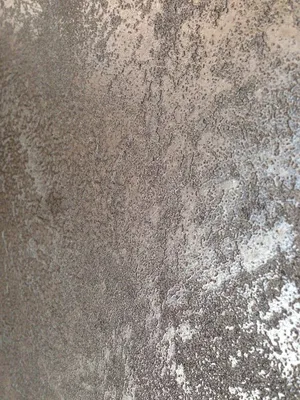 Декоративная штукатурка Сахара ( DecoArt ) Акцентная стена на рецепшене.  #декоративнаяштукатуркаодесса #декоративкаодесса #декородесса… | Instagram