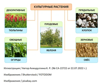 Искусственные растения для интерьера Birdhouse цветы для декора кашпо 3шт -  купить в Москве, цены на Мегамаркет