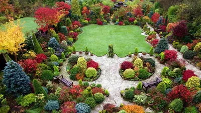 11 неприхотливых многолетних кустарников для красивого оформления дачи и  сада | Питомник Растений №1 Экоплант | Дзен