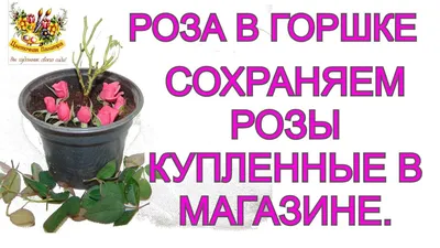 Valeri*Home Розы в горшке,кашпо,композиция цветов для декора