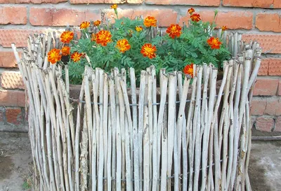 Клумбы своими руками: оригинальное оформление цветочной клумбы (200 фото).  Как красиво посадить на даче декоративный кустарник и цветы?