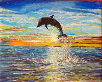 Тихоокеанский белобокий дельфин | Пикабу