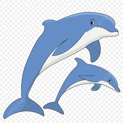 красивый дельфин, выпрыгивающий из моря с чистой голубой водой в солнечный  день Стоковое Изображение - изображение насчитывающей мило, день: 228637403