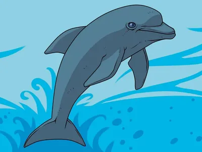 Уникального белого дельфина сняли на видео - невероятное зрелище | Стайлер