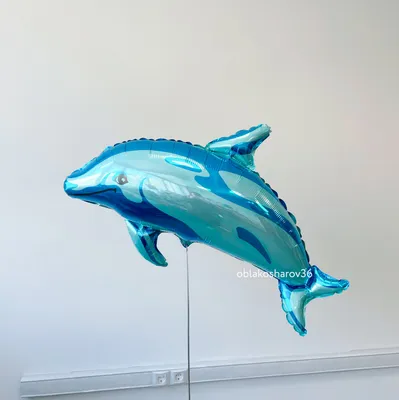Дельфин с названием моря | Премиум Фото