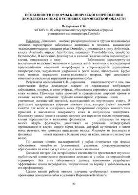 Лечение демодекоза у кошек, собак: симптомы, фото, препараты