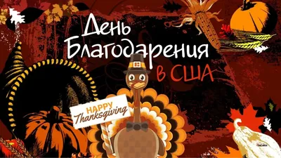 День Благодарения. Самый любимый праздник Американцев. Как его празднуют в  США? - YouTube