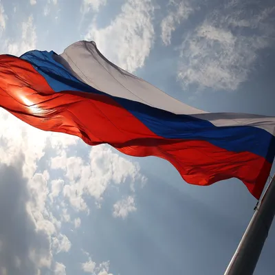 День Государственного флага Российской Федерации - Московский областной  гуманитарно-социальный колледж