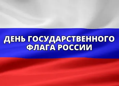 22 августа — День Государственного флага Российской Федерации. — Детский  сад 87