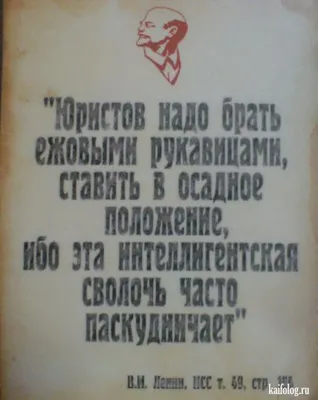 3 декабря в России отмечается профессиональный праздник всех юристов,  независимо от сферы их професс / праздник :: день юриста / смешные картинки  и другие приколы: комиксы, гиф анимация, видео, лучший интеллектуальный юмор .