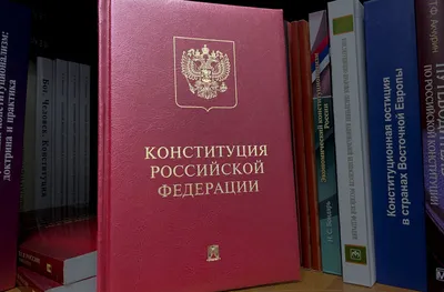 Информационная акция «День Конституции»