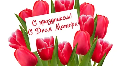 Сегодня в России отмечают День матери | 27.11.2022 | Новости Нальчика -  БезФормата