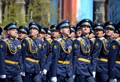 Они - гордость и доблесть Отечества: сегодня - День офицера России - Лента  новостей Крыма