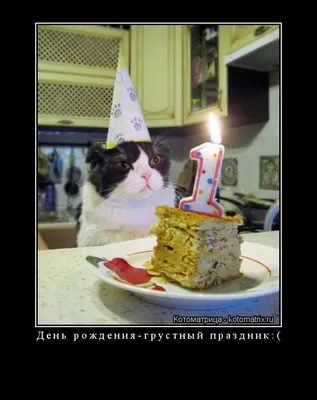 _ за _ д День рождения грустный праздник - выпуск №1022327