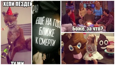День рождения - грустный праздник | Кот, что по ночам орет | ВКонтакте