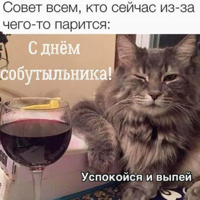 Анонс День собутыльника с группой «Цалер FM» 7 декабря, пятница, в 22:00 |  Nightout: Новосибирск