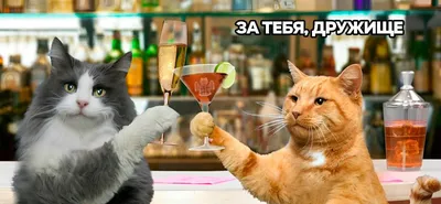 Открытки на День собутыльника