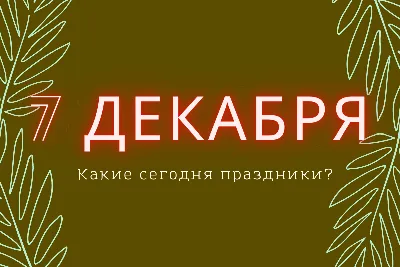 Народные приметы и праздники во вторник: сегодня День собутыльника и День  любителей поспать - МК Воронеж