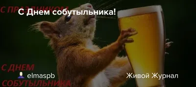 Картинки - С днем собутыльника 7 декабря 2023 (Прикольные фото) » 72tv.ru -  Картинки и открытки, гифки \"Красивые поздравления\"!