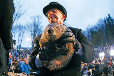 День Сурка в пандемию