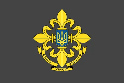 Флаг Военной Разведки Украины камуфляж (ID#1878379489), цена: 360 ₴, купить  на Prom.ua