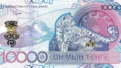 В чем белорусам хранить деньги в 2023 году? — Блог Гродно s13
