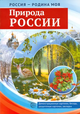 Обои русский лес Природа Лес, обои для рабочего стола, фотографии русский,  лес, природа, россия, лето, деревья Обои для рабочего стола, скачать обои  картинки заставки на рабочий стол.