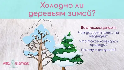 Растения зимой. Презентация для детей. Окружающий мир. - YouTube