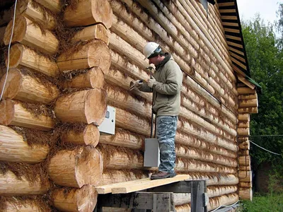 История строительства деревянных домов: интересные факты -  dominant-wood.com.ua
