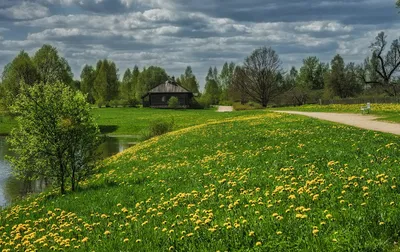 Весна в деревне (97 фото) - 97 фото