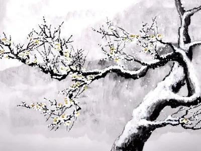 Мистическое дерево в снегу - Изображение в популярном формате jpg